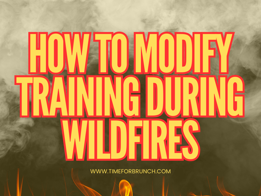 Runners’ Dilemma: Running Safely during Wildfire Smoke Advisories